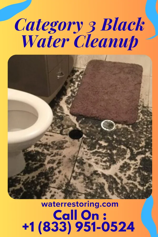 Category 3 Black Water Cleanup in Green Camp, OH