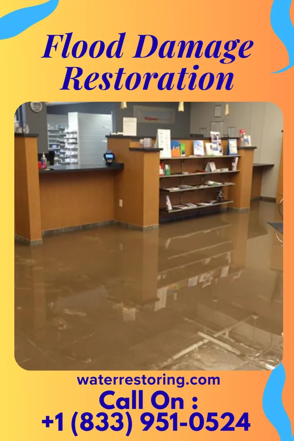 Flood Damage Restoration in Green Camp, OH