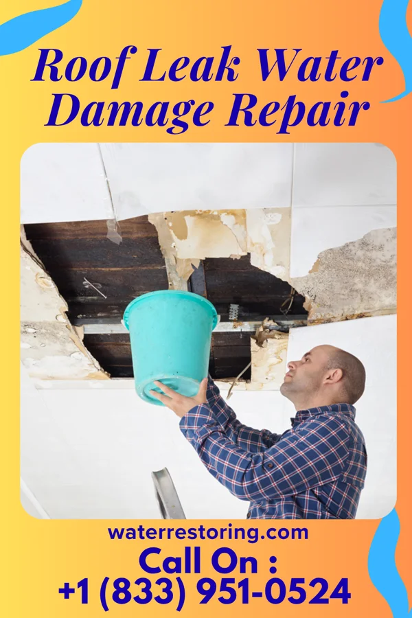 Roof Leak Water Damage Repair in Green Camp, OH
