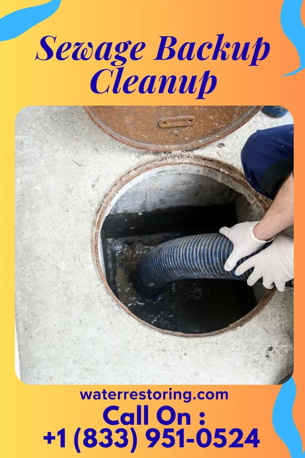 Sewage Backup Cleanup in Green Camp, OH