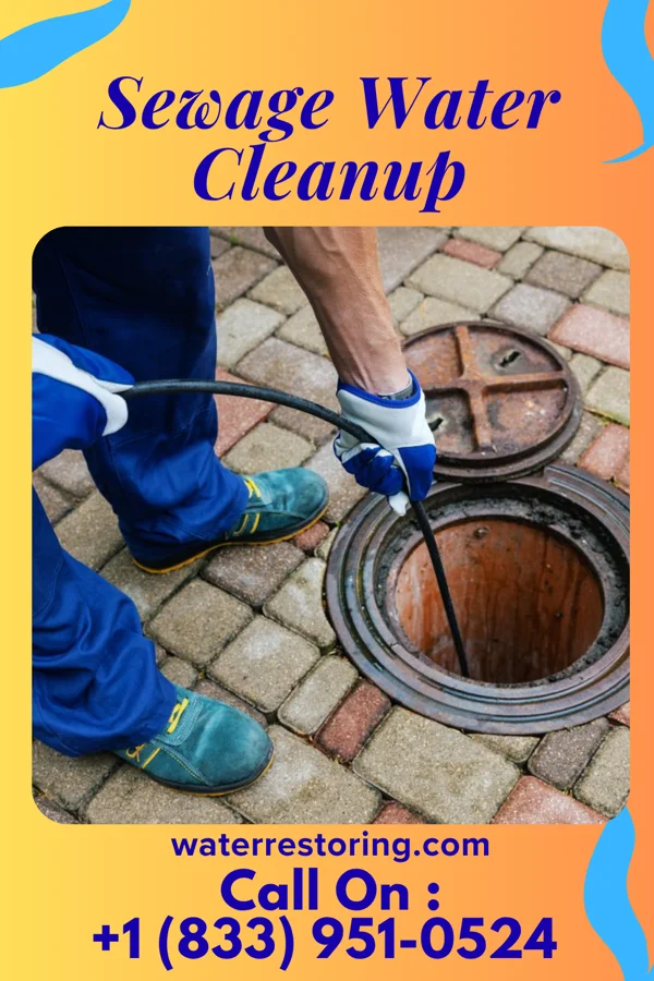 Sewage Water Cleanup in Green Camp, OH