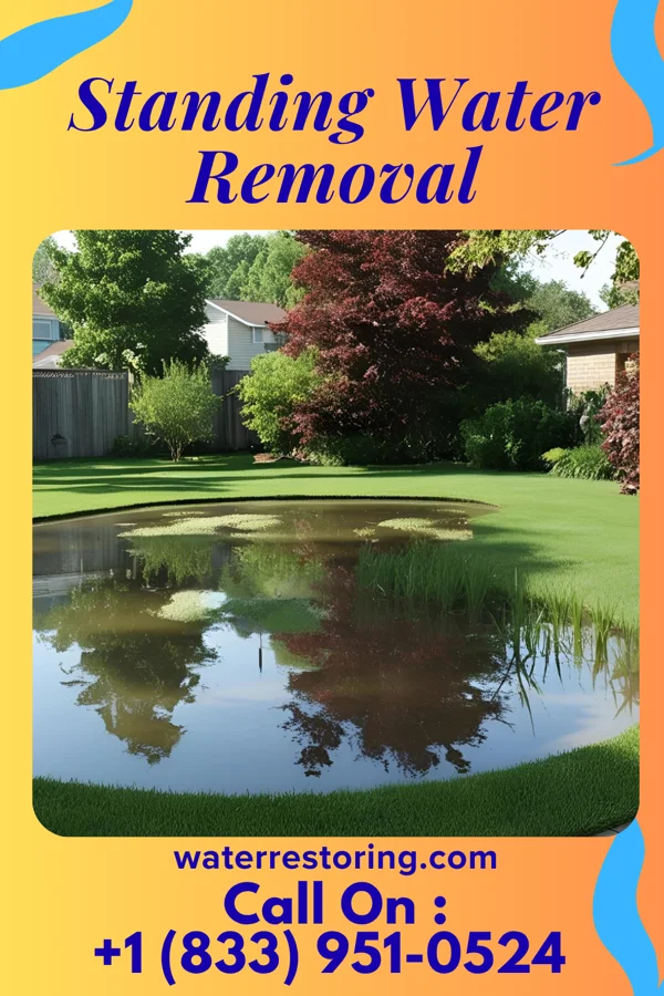 Standing Water Removal in Green Camp, OH